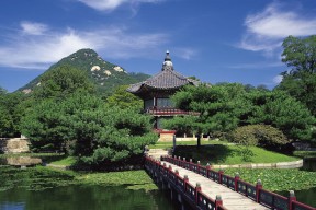 世界板球青训营学员成长档案公示与保护说明，板球世界冠军
