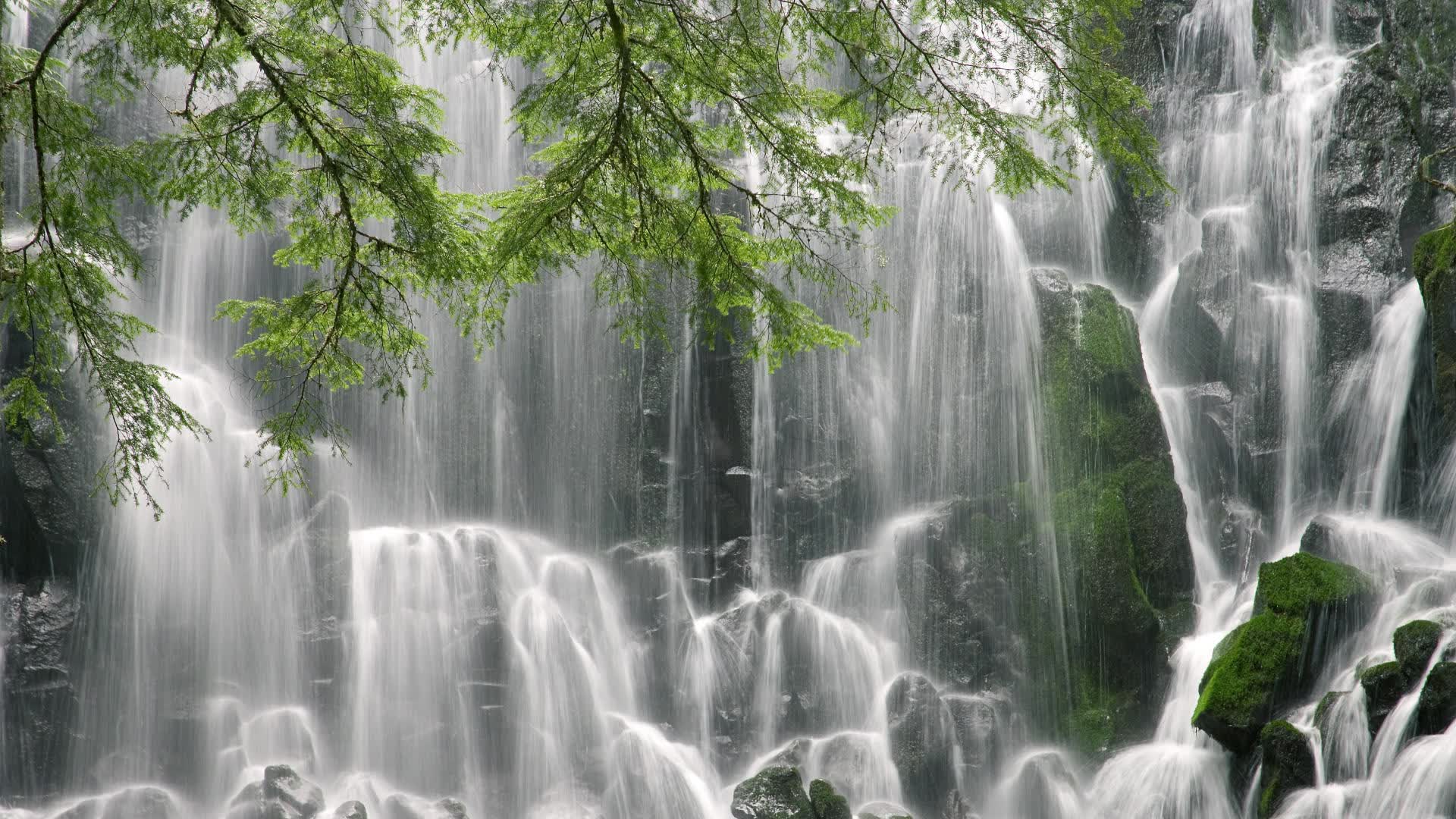世界游泳全国青少年比赛积分系统升级说明,全国游泳青少年锦标赛